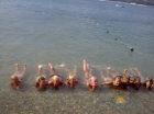 sea